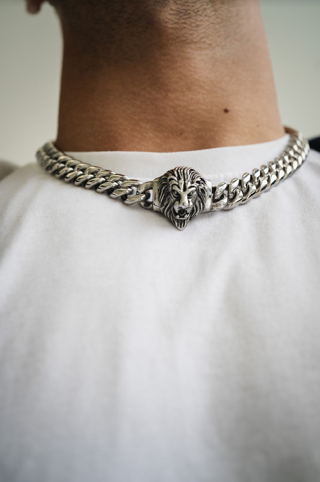 Embossed Lion Alpha Set - Silver dashing design